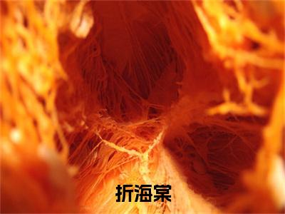 折海棠夏末彩蛋完整在线阅读（夏末）最近章节列表