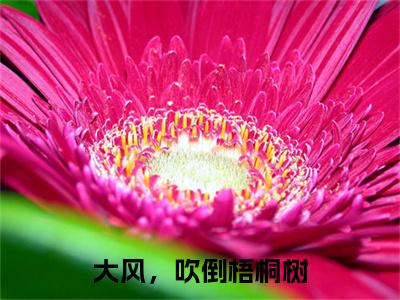 方梧顾庭方梧顾庭深深：结局+番外新上热文（大风，吹倒梧桐树）全篇免费版在线+无障碍结局