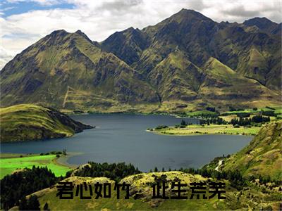 新章速递沈南音贺方竹是什么小说(君心如竹，此生荒芜)完本阅读无广告（沈南音贺方竹）