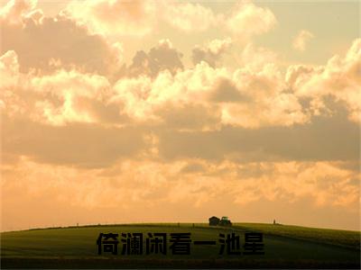 全网首发江以绯宋云祁：+后续+番外（倚澜闲看一池星）全本完整阅读无弹窗