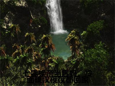 电子书+番外篇章+（陆绍霆宋息息）免费版在线阅读