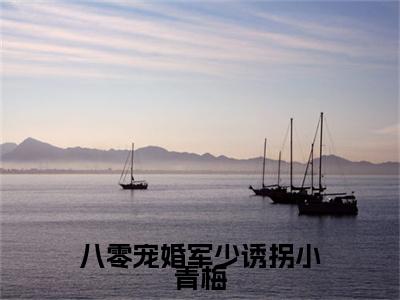 方映月江清舟附加完整在线阅读（八零宠婚军少诱拐小青梅）最近更新列表