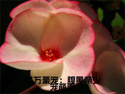 亿万豪宠：腹黑帝少宠萌妻凌宇煜苏暖秋附加完整在线阅读（凌宇煜苏暖秋）最近更新列表