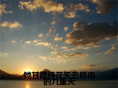 她甘愿待在失去自由的九重天小说无删减阅读清爽版（沈云天玄迟）外篇+续集