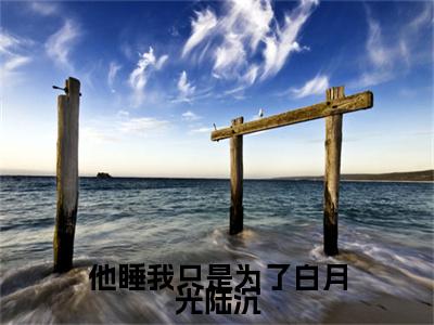 （林书意陆沉）他睡我只是为了白月光陆沉林书意陆沉最终篇章(他睡我只是为了白月光陆沉)全书在线无广告高口碑小说
