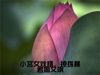 全网首发小宫女戏精，撩拨暴君媚又飒彩蛋(盛云舒)（小宫女戏精，撩拨暴君媚又飒）全本完整阅读无弹窗