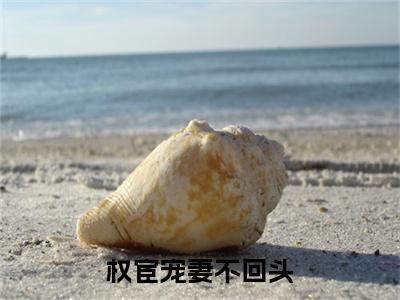 权宦宠妻不回头：+后续现已上架+章节前文（谢怀绪陆明歌）全章无套路在线