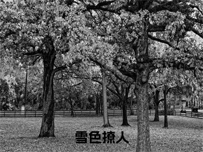 前传_笔趣阁（雪色撩人）雪色撩人小说(苏瑾琼陆峥)章节在线阅读