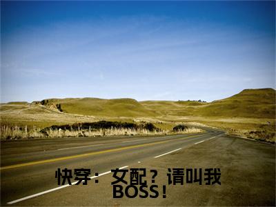全网首发快穿：女配？请叫我BOSS！彩蛋(苏颜)（快穿：女配？请叫我BOSS！）全本完整阅读无弹窗