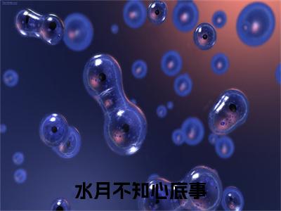 水月不知心底事小说（祁云礼宋栀）TXT无套路在线+无广告结局