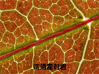 （沈酒霍时君）沈酒霍时君：+番外+后续起点章节+阅读即将发布预订