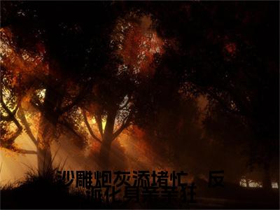 沈宴左柚小说完整在线阅读（沙雕炮灰添堵忙，反派化身亲亲狂）前传列表