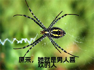 （原来，她就是男人喜欢的人）原来，她就是男人喜欢的人小说(宋梨瑶顾勋南)无套路无弹窗全部章节列表