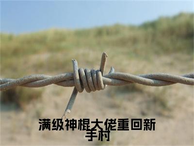 （书荒必看）满级神棍大佬重回新手村(余笙纪御)无删减在线下载阅读最终终章
