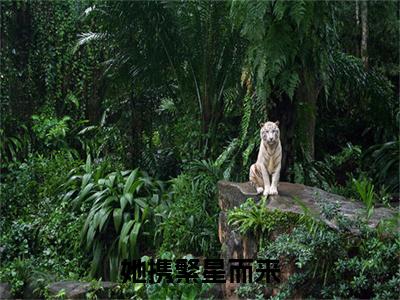 江颖霍斯年小说无删减+后续（她携繁星而来）畅享阅读