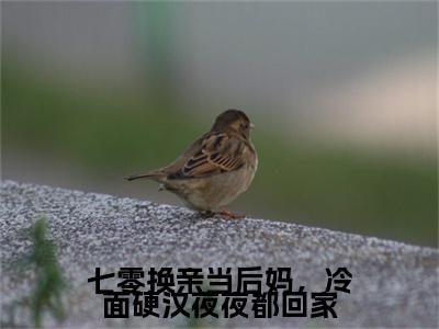 独家七零换亲当后妈，冷面硬汉夜夜都回家无删减(陆绍霆宋息息)（七零换亲当后妈，冷面硬汉夜夜都回家）TXT免费版阅读