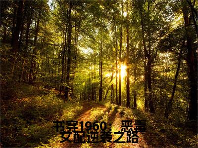 沈若楠小说(书穿1960：恶毒女配逆袭之路)章节目录+起点章节（沈若楠）全篇清爽版在线
