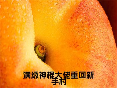 余笙纪御小说(满级神棍大佬重回新手村)（余笙纪御）全书+后续+结局在线阅读