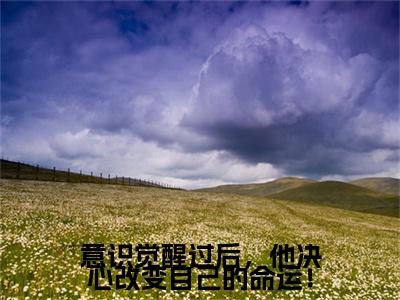 热文推荐俞婉欣傅朗挣意识觉醒过后，他决心改变自己的命运！：结局+番外精编之作