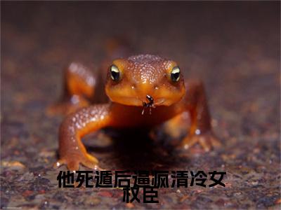 小说他死遁后逼疯清冷女权臣小说已更新+番外篇章（苏煜顾宛柔）纯净阅读