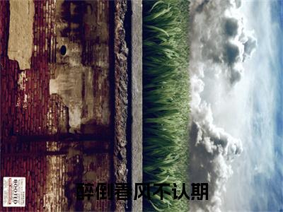 林清音厉枭寒小说(醉倒春风不认期)全文+后续（林清音厉枭寒）畅享阅读