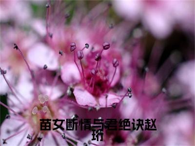 夏白禾赵珩小说(苗女断情与君绝诀赵珩)最近更新（夏白禾赵珩）整本无套路阅读