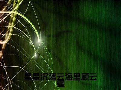 星星沉落云海里顾云霆小说完整在线阅读（阮星澜顾云霆）前传列表