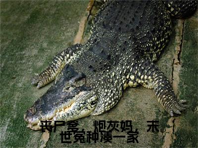 （凤鸣兮玄泽）凤鸣兮玄泽小说(丧尸爹，炮灰妈，末世冤种凑一家)整书在线无广告高口碑小说