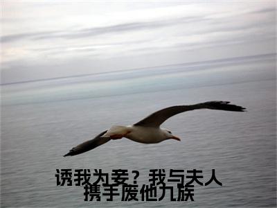 诱我为妾？我与夫人携手废他九族彩蛋+起始篇章（盈珠江竟云）阅读