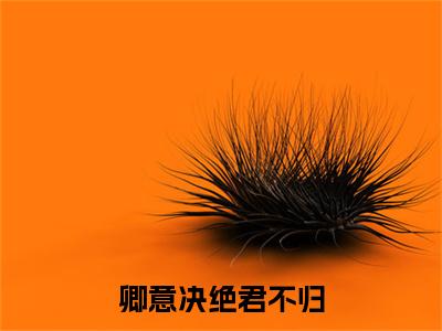 热更章节_笔趣阁（谢昭临顾清漪）卿意决绝君不归后续全本浏览阅读