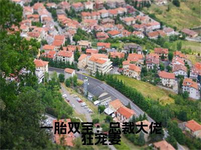 小说结尾小说顾挽情秦子墨小说全章已更新+无删减（一胎双宝：总裁大佬狂宠妻）无弹窗