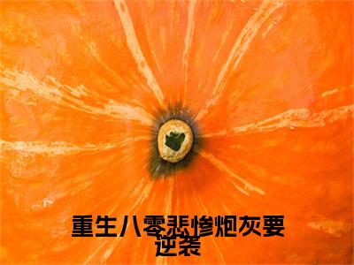 （重生八零悲惨炮灰要逆袭）重生八零悲惨炮灰要逆袭(夏云栀周翊和)无套路无弹窗全部章节列表