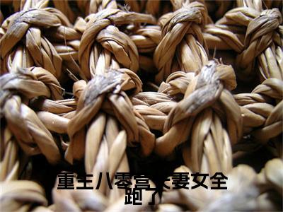 （谷秋兰季远锋）谷秋兰季远锋小说(重生八零营长妻女全跑了)无套路无弹窗全部章节列表