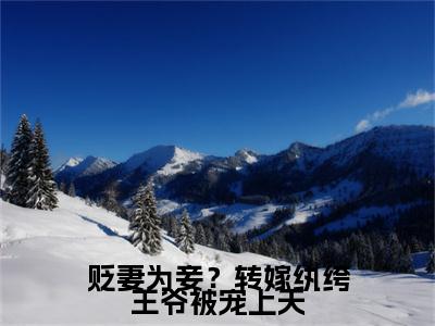 贬妻为妾？转嫁纨绔王爷被宠上天小说(朱澜)小说全集阅读连载中（贬妻为妾？转嫁纨绔王爷被宠上天）_笔趣阁