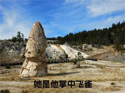 她是他掌中飞雀(裴之淮沈兰心)整本+后续+（她是他掌中飞雀）结局在线阅读