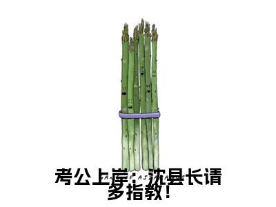 考公上岸：沈县长请多指教！小说(沈延舟安岁岁)小说全集在线下载_章节前文+后续（考公上岸：沈县长请多指教！）