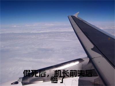 假死后，机长前夫后悔了小说(假死后，机长前夫后悔了)（宋言生许思抒）完整章节列表_笔趣阁