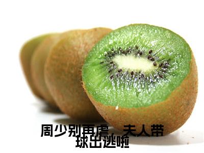 （书荒必看）周少别再虐，夫人带球出逃啦小说TXT无套路阅读