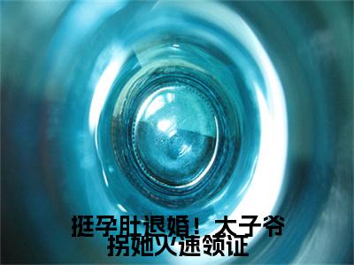 小说楼予曦顾璟珩小说已更新+番外篇章（挺孕肚退婚！太子爷拐她火速领证）纯净阅读