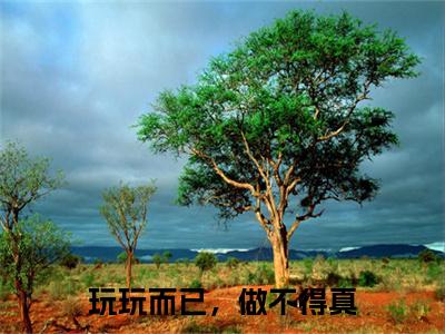 玩玩而已，做不得真后续（司廷烨夏秋烟）全篇在线阅读前传