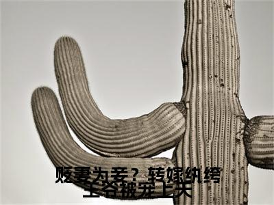 最新章节_笔趣阁（朱澜）朱澜小说(贬妻为妾？转嫁纨绔王爷被宠上天)在线畅读阅读