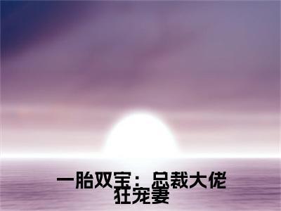 一胎双宝：总裁大佬狂宠妻续集起点章节+全书阅读（顾挽情秦子墨）书荒必看