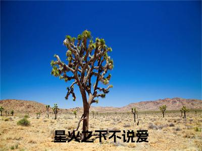 （星火之下不说爱）：+后续+番外 江邵阳温梦涵后续全本浏览阅读