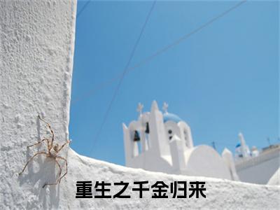 重生之千金归来完整在线阅读（季攸宁阮既明）前传列表