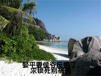 热文推荐娶平妻侯爷反悔了，求锁死别祸害附加(韦映璇宋拓)（娶平妻侯爷反悔了，求锁死别祸害）最新章节列表