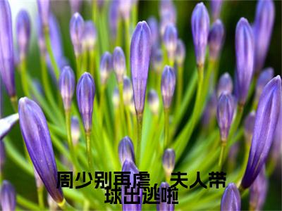 畅读精品正版（夏宁雪周禄寒）周少别再虐，夫人带球出逃啦：+后续全本完整+后续+结局在线阅读
