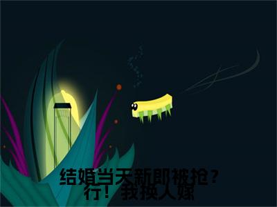 许虞（结婚当天新郎被抢？行！我换人嫁）TXT无套路在线+无广告结局