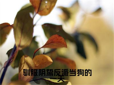前传尹恩顾野续集:全文+番外驯服阴鸷反派当狗的一天：结局+番外新上热文