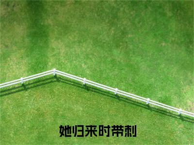 顾景行苏禾（她归来时带刺）结局+番外免费品鉴_（她归来时带刺）顾景行苏禾+后续评价五颗星