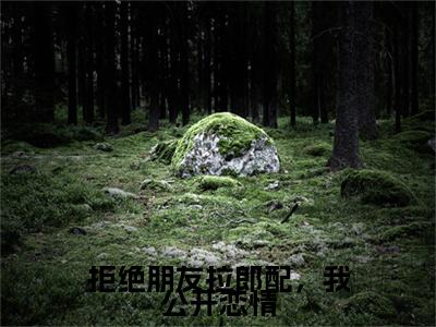前传拒绝朋友拉郎配，我公开恋情续集(拒绝朋友拉郎配，我公开恋情)终章阅读极简（拒绝朋友拉郎配，我公开恋情）